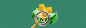Hidden Import Fees