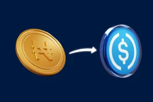 How to Convert Naira to Dollars for Imports