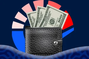 USD Wallet vs Domiciliary Account for Importers