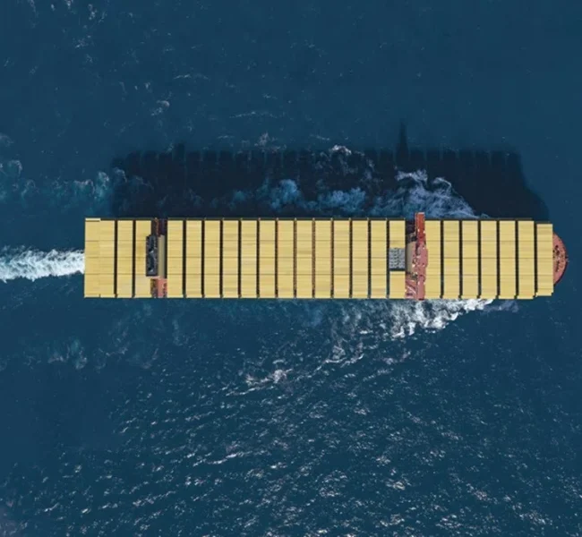 MSC Shipping with Clea
